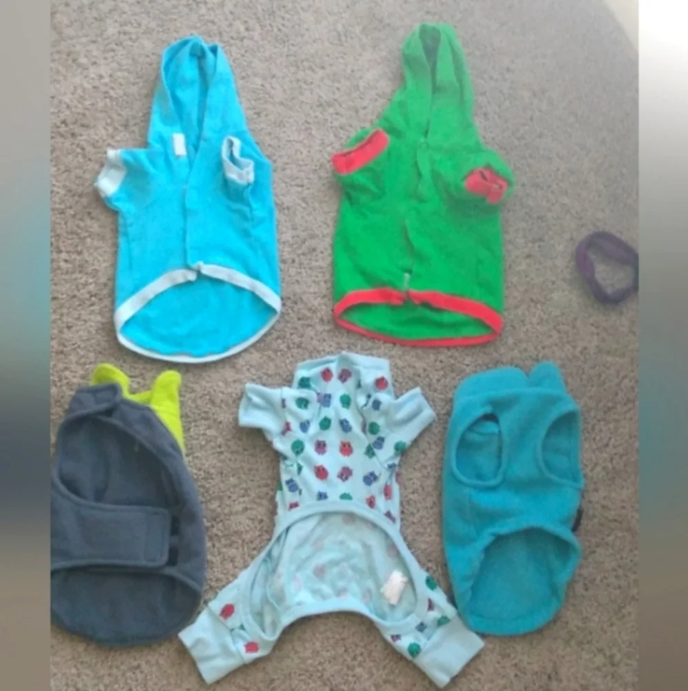 8 Piece Bundle 🐶 Puppy • Small Dog / Cat Fits + Leash & Collar 😺